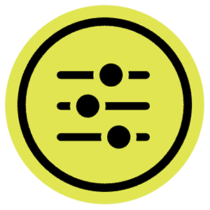 Example of the OTBL UserWay button